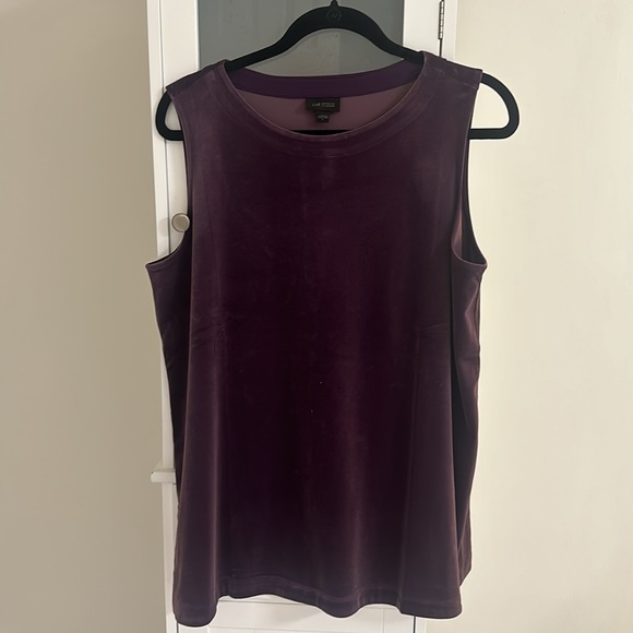 Velvet/Velour Purple Top and cami - Picture 2 of 3